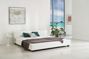 Greatime B1142 Modern Platform Bed (More Colors Available)